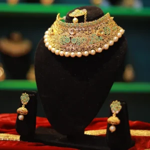 Posh Limited Edition Designer Necklace and Earrings Set